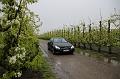 MG Bloesemrit op 24-4-2016 org. Jos&Marie-lou  (116)